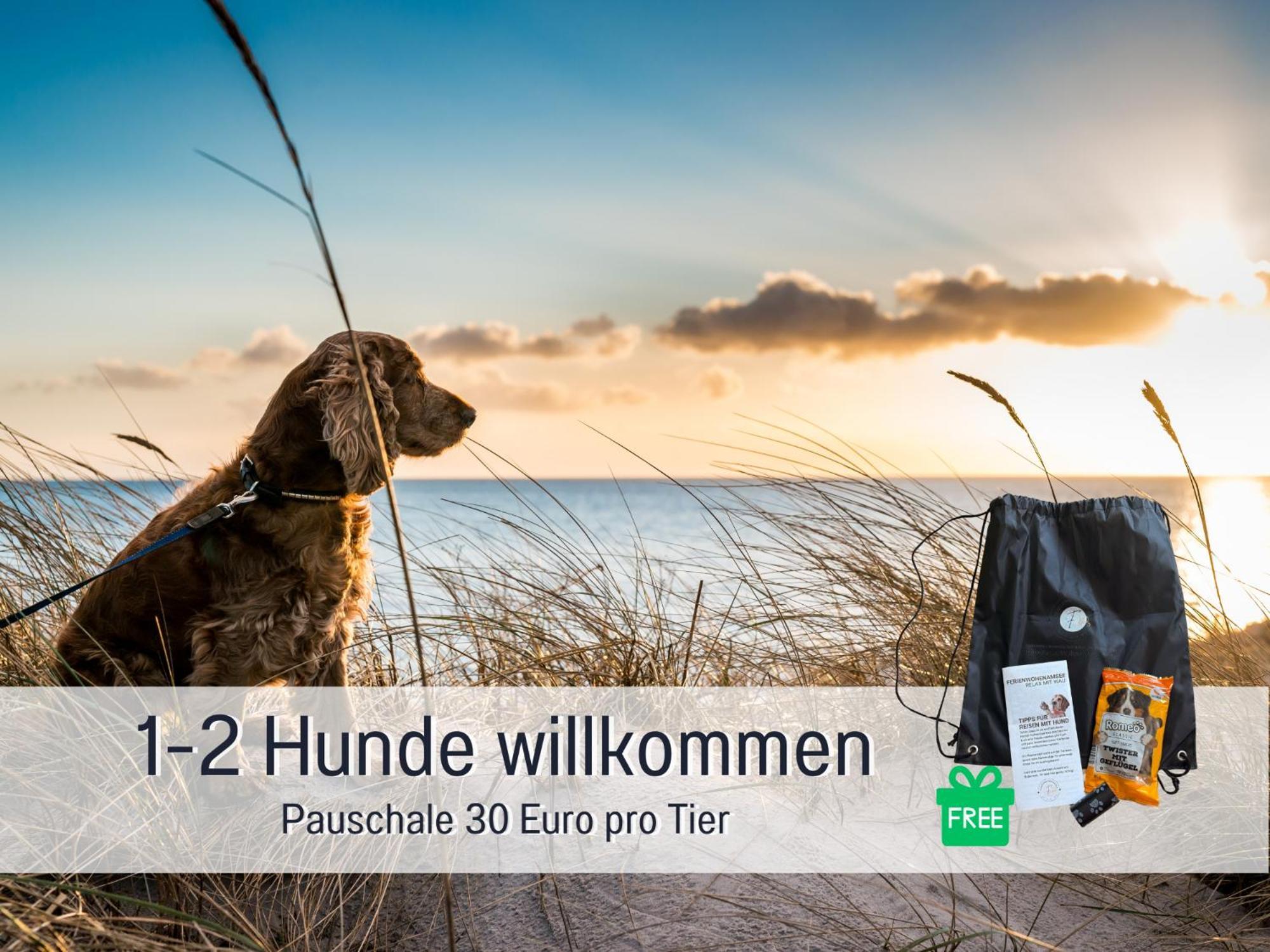 Sonnenterrasse - 3 Schlafzimmer, Whirlpool & Alpenblick - Perfekt Fuer Romantik Oder Familienurlaub Mit Kind , Hund Willkommen By Ferienwohnenamsee - Uberlingen Exterior photo